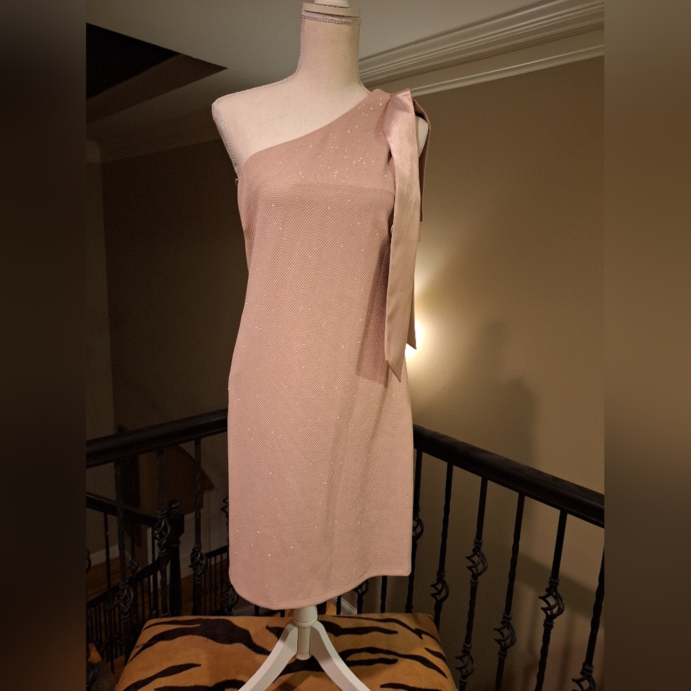 New with Tags, Blush Glitter Dress